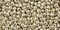 Toho 11/0 Round Japanese Seed Bead, #558PF, Galvanized Aluminum PermaFinish, 13 grams